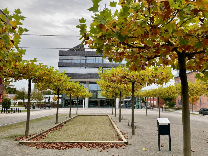 Wissenschaftszentrum Kiel Hecken Bäume
