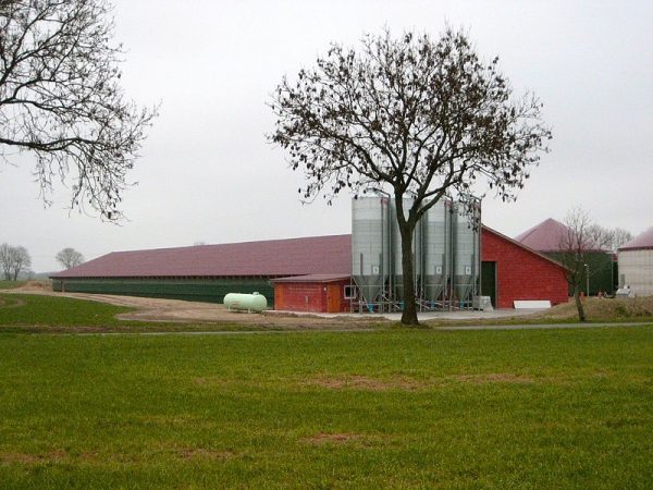Zarchlin, Hähnchenmast- und Biogasanlage, 2011