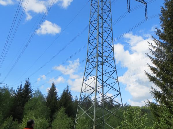 Planfeststellung 380-kV-Höchstspannungsleitung Röhrsdorf – Weida – Remptendorf (BBPlG Nr. 14), Abschnitt West, 2019-2022
