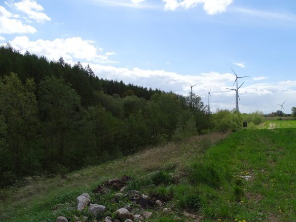 Windenergieprojekt – Schönberg, 2019-2022